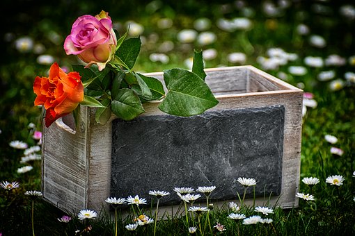 roses-3638620__340 roses-3638620__340