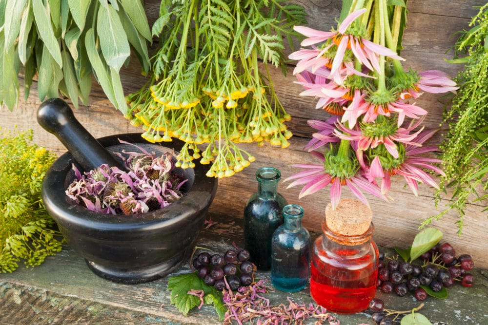 bunches of healing herbs on wooden wall, mortar with dried plant bunches of healing herbs on wooden wall, mortar with dried plants and glass bottles, herbal medicine