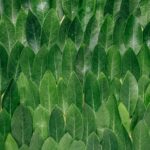 erol-ahmed-296514-unsplash erol-ahmed-296514-unsplash