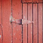 kelly-sikkema-196851-unsplash kelly-sikkema-196851-unsplash