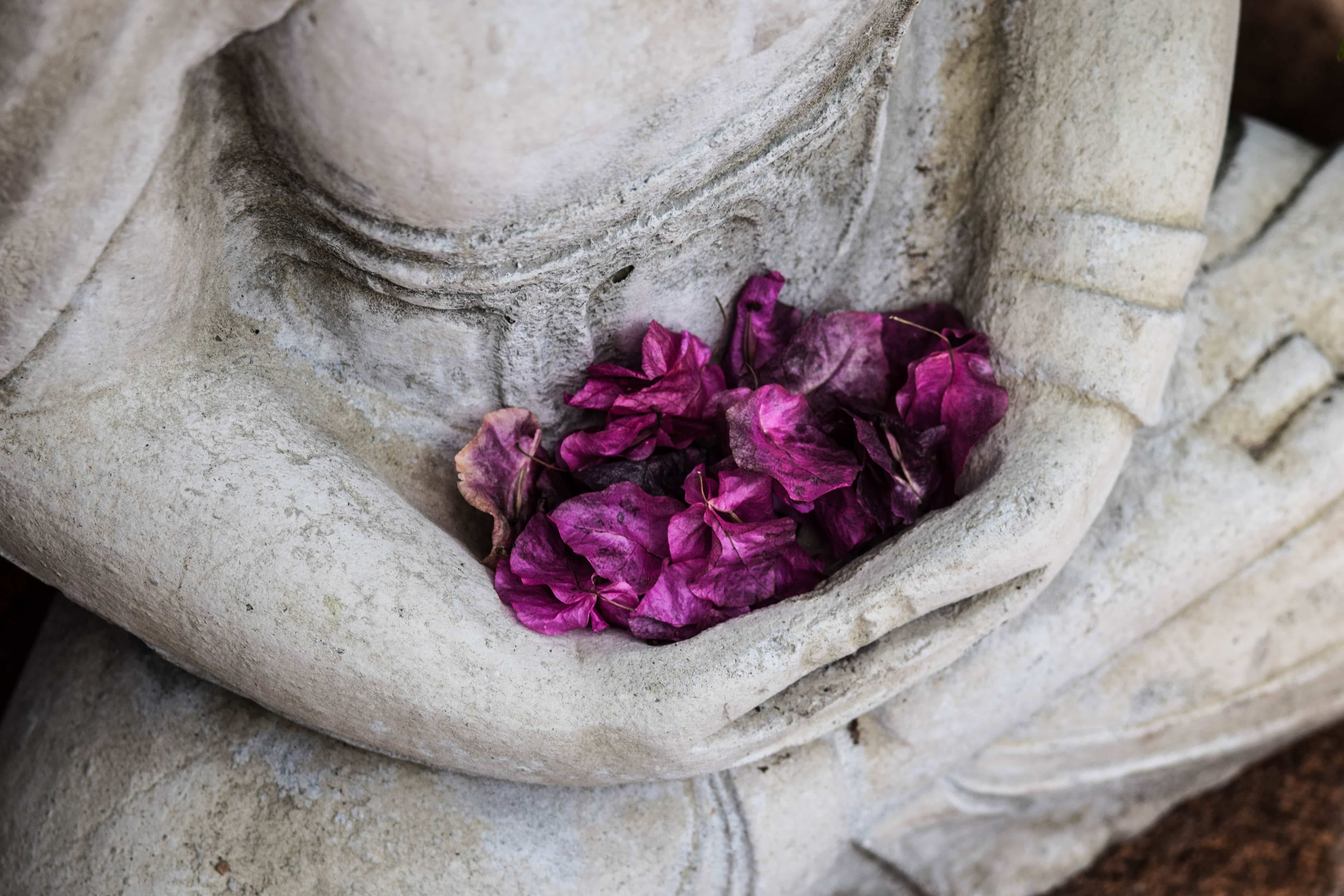 Spiritual Detox Spring Equinox Health