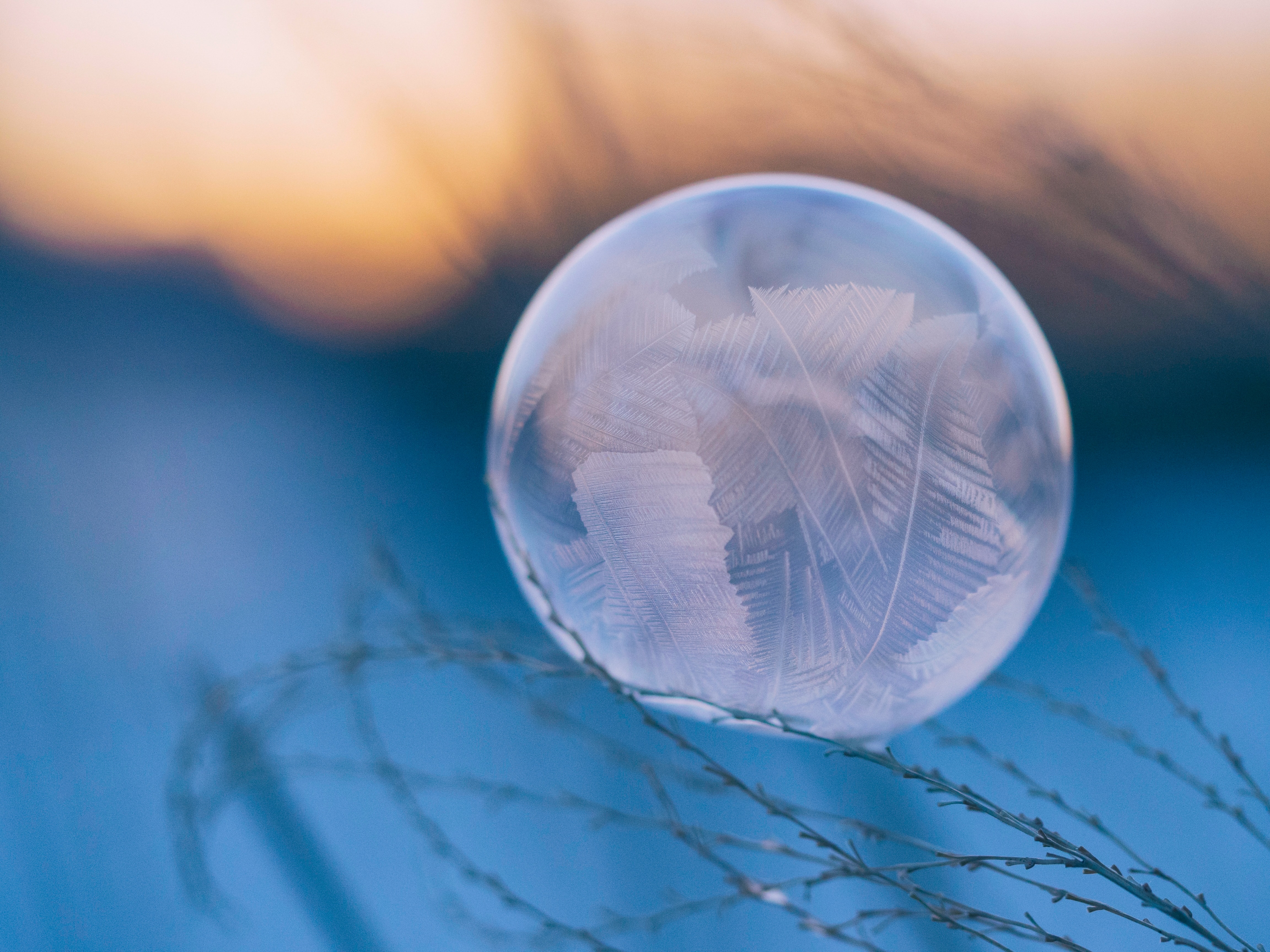 aaron-burden-oopG2XDsSmc-unsplash kerrykeegan.com